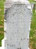 81321186.jpg